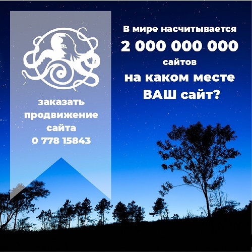 Приднестровская рекламная компания ПМР Агентство по интернет продвижению и созданию сайтов